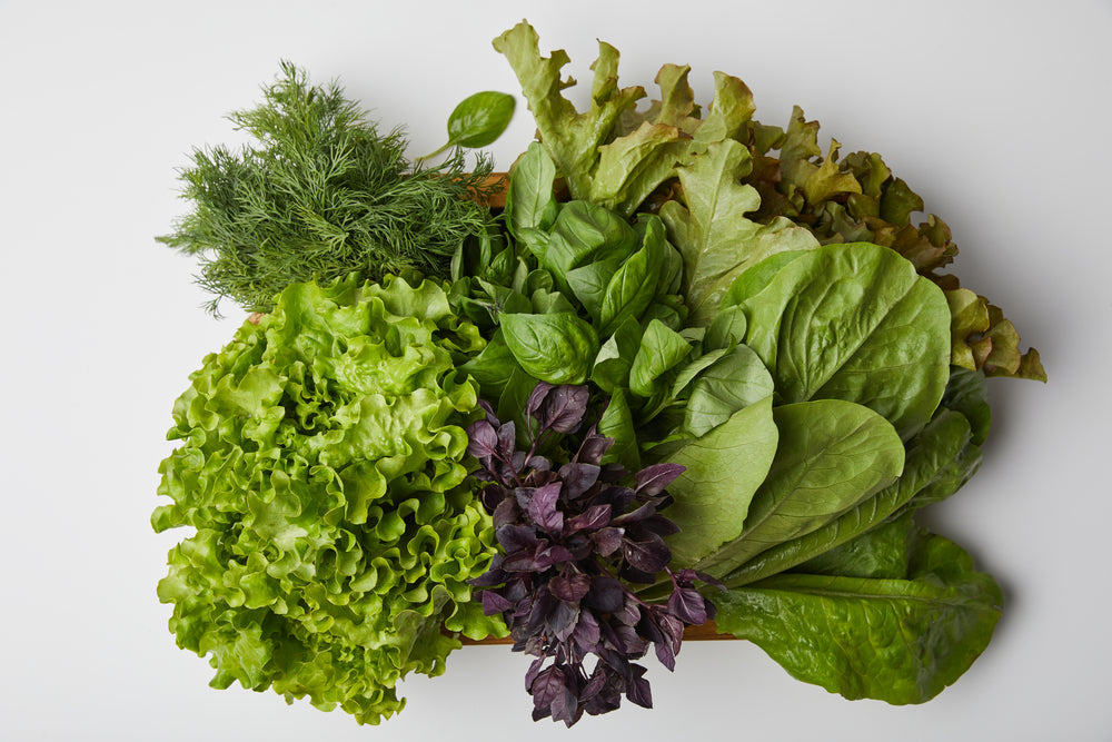 a colorful array of lettuce