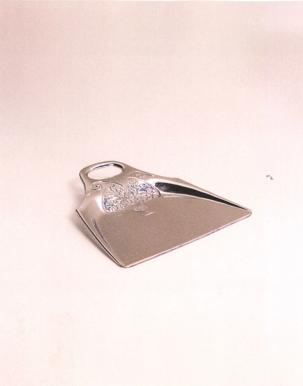 Silver Dustpan