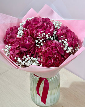 Image of Weekly Offer Two (Hydrangea and Gypsophila)