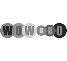 Wowoo Logo