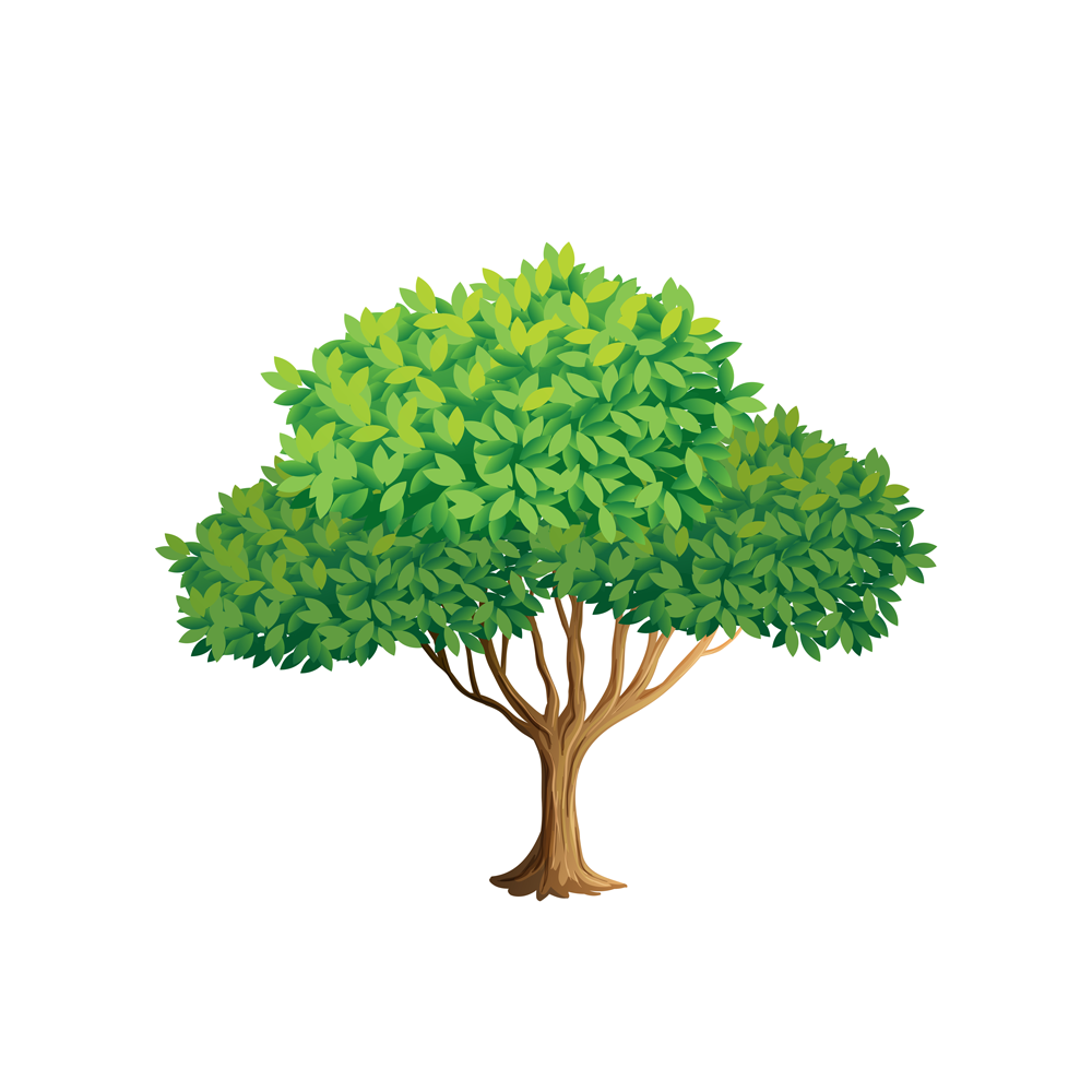 One Tree - Loving Branches product image