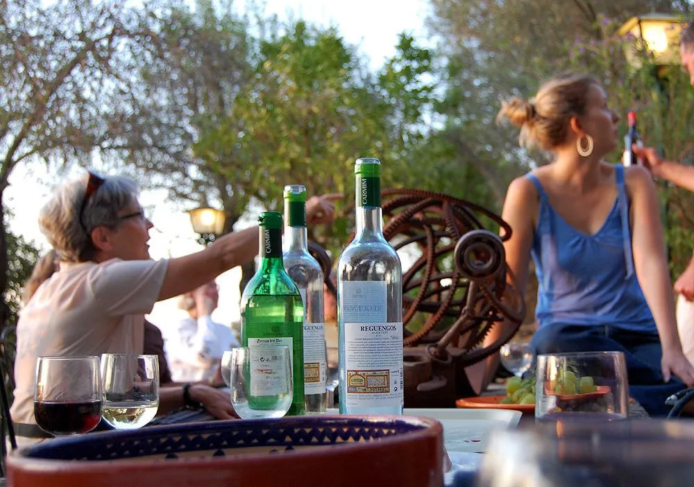 Alentejo wines on a laid back picnic table