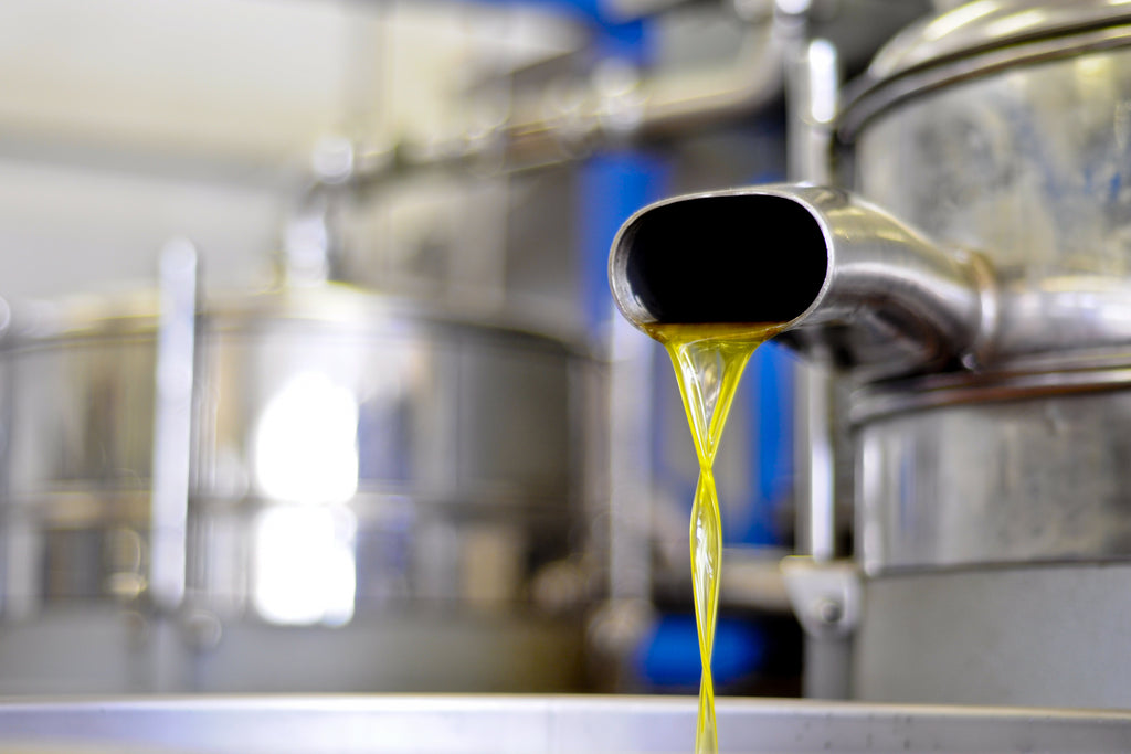 Cold pressed olive oil pouring from a spout in an oil mill