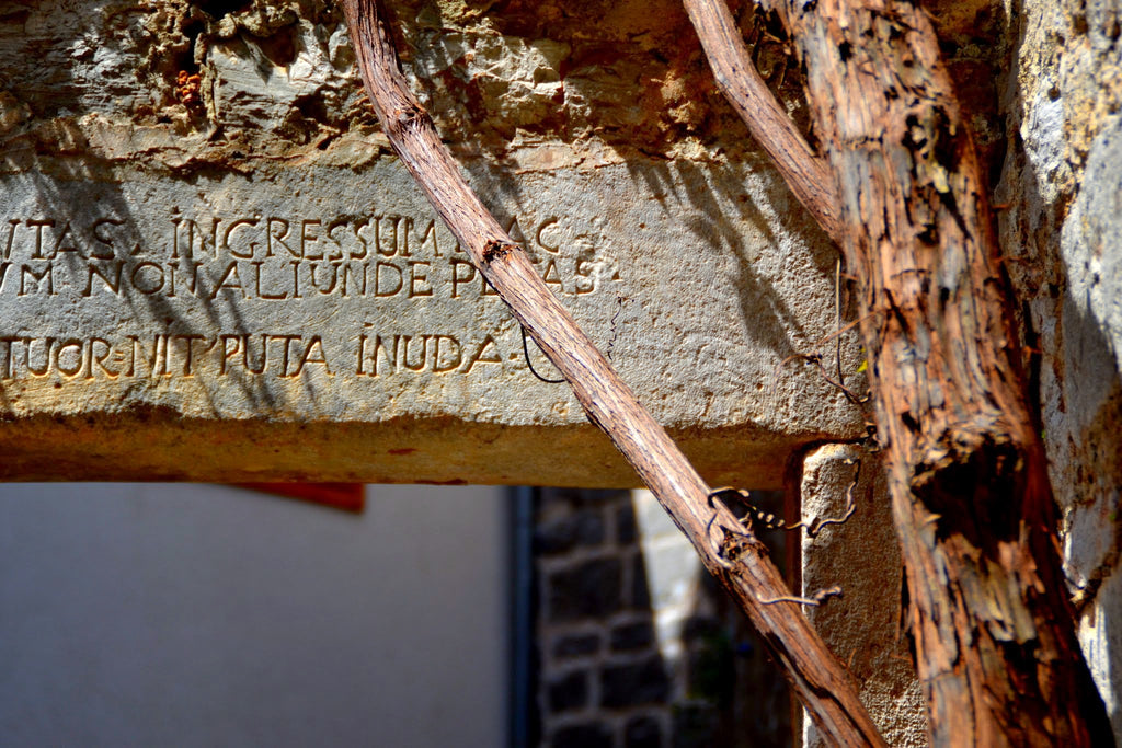 Vines winding round an old stone arch with Latin inscriptions in Croatia