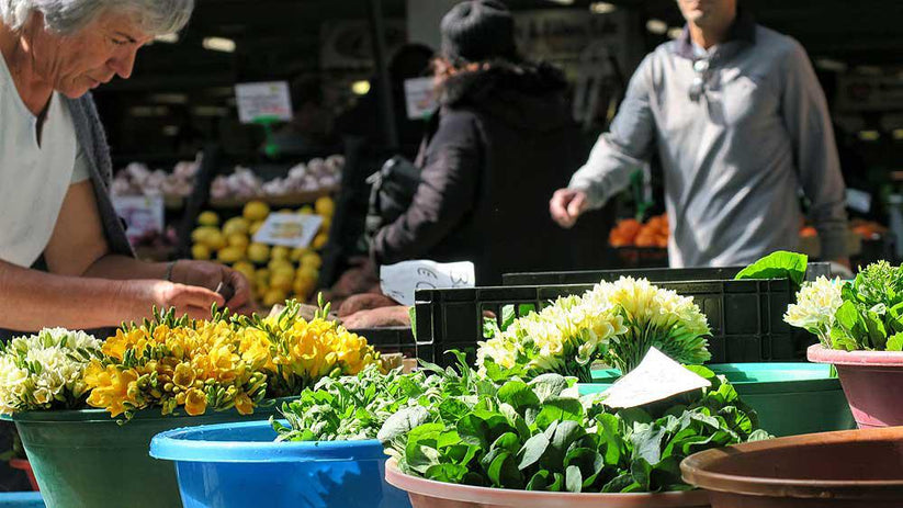 Experience farm-to-table cuisine in São Miguel, Azores