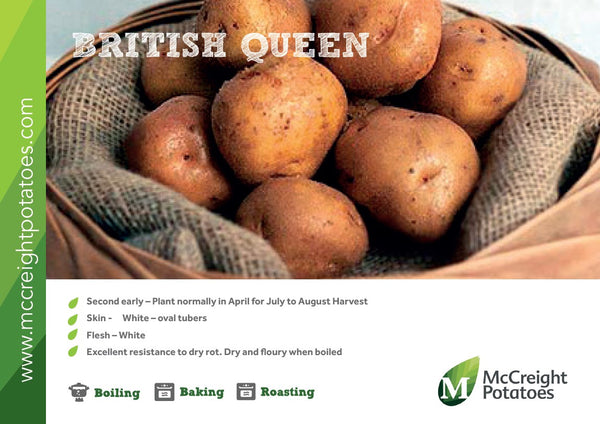 British Queen Potato Guide