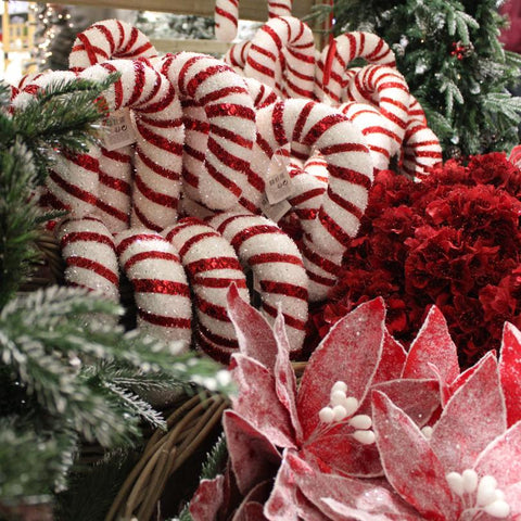 Candy Canes and Red Christmas Floristry