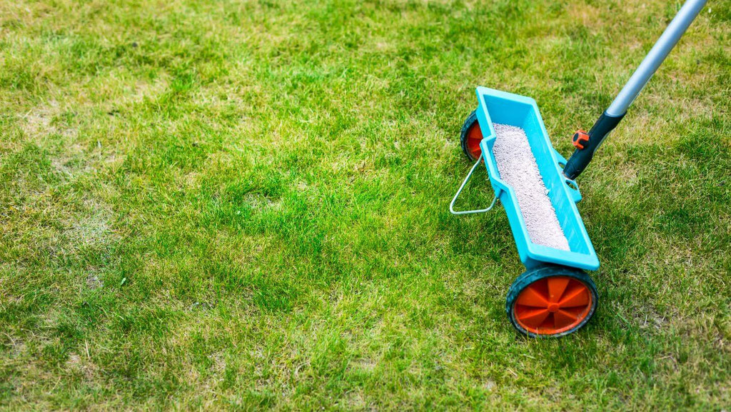 Fertilising lawn