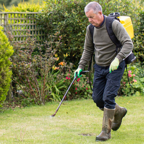 Man Treating Lawn with Moss killer