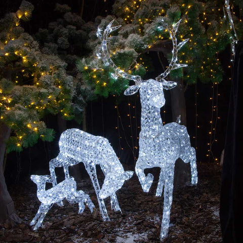 Reindeers and Stag Outdoor Christmas Light up Decorations