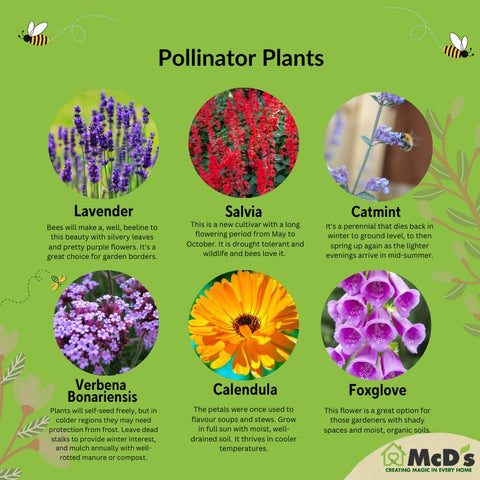 Pollinator Plants Guide