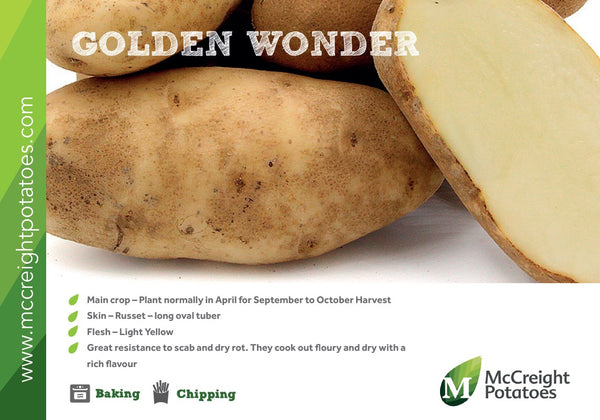 Golden Wonders Potato Guide
