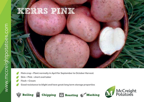 Kerrs Pink Potato Guide