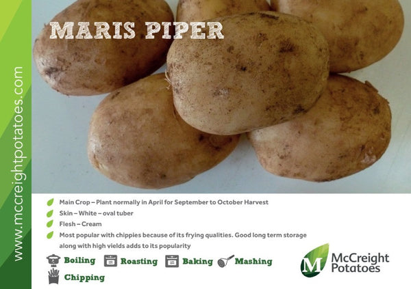 Maris Piper Potato Guide