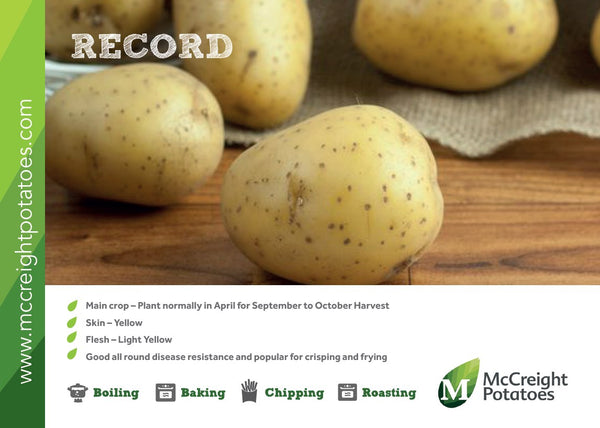 Record Potato Guide