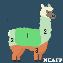 NEAFP Fiber 1sts, 2nds, 3rds for FiberCall