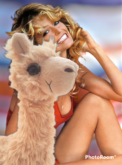 newest alpaca pacabuddie, Farrah!