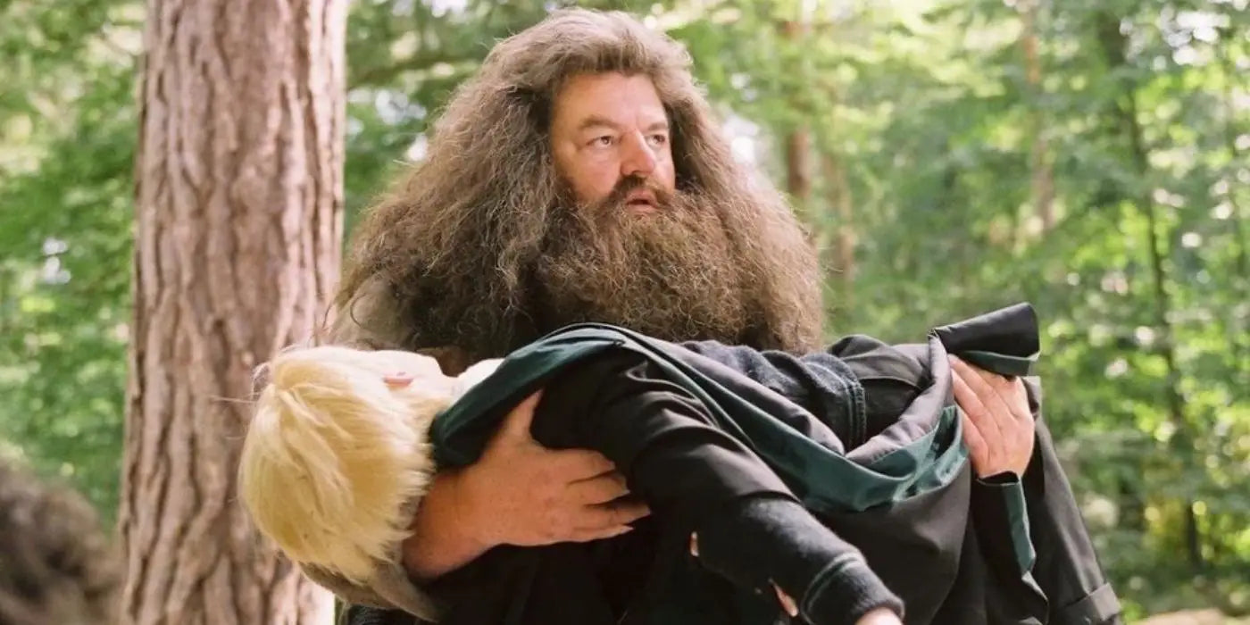 Les 5 meilleures citations d’Hagrid dans Harry Potter!