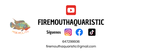 banner redes sociales de firemouth aquaristic