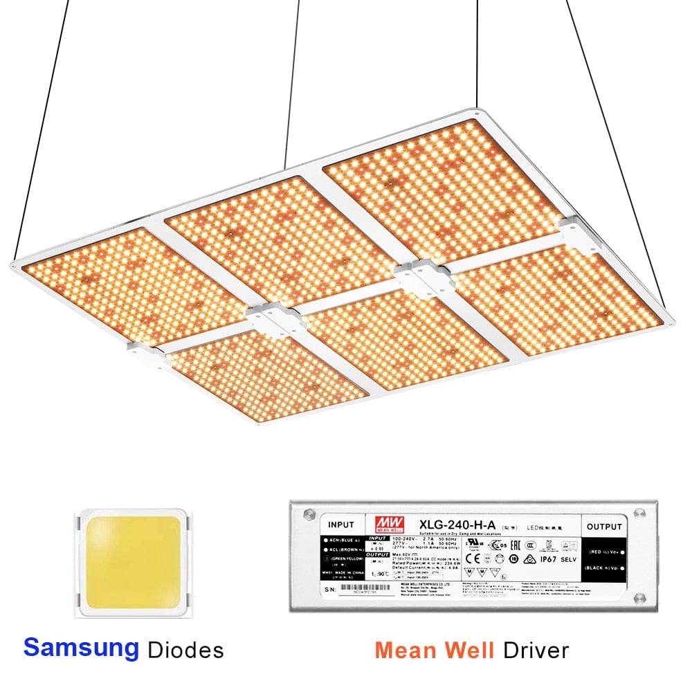 LED Grow Light 6000W