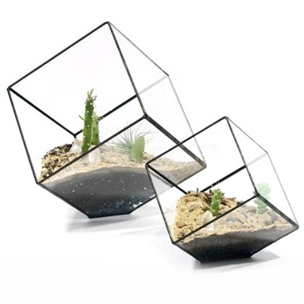 Cube Hydroponic Vases