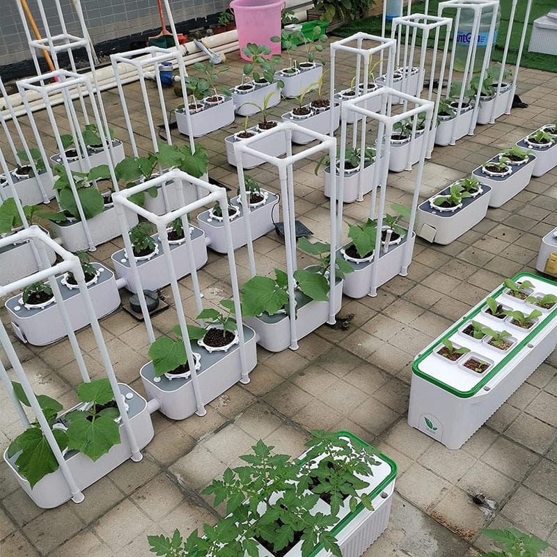 Hydroponics System w/ Automated Controller