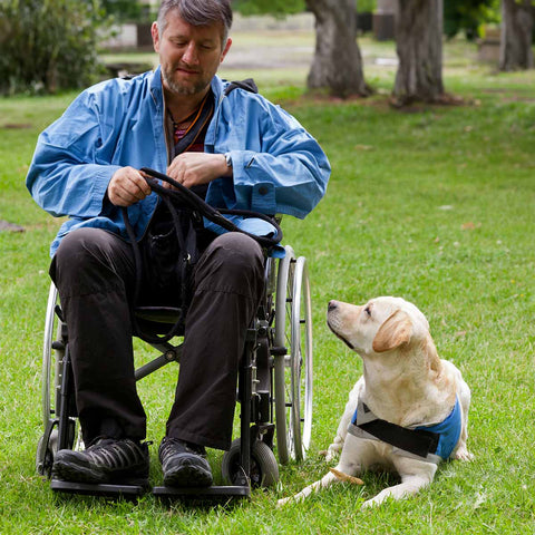 Disabled man with support dog outdoors.