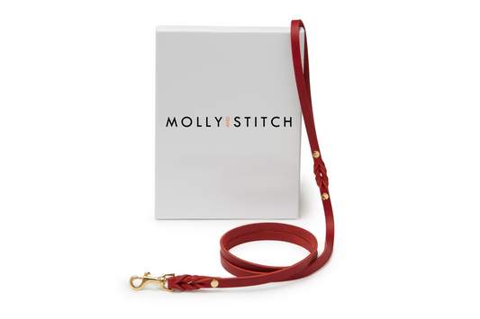 Molly and Stitch US | Butter Leather Dog Harness - Mango, Brass / XXL