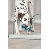 Trixie Dog Activity Plastic And Metal Skills Loop Dog Toy 43cm