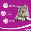 Picture of Whiskas Tender Bites Chicken in Gravy Pouch Pack  80G