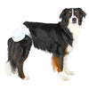 Picture of Trixie Female Dog Diapers