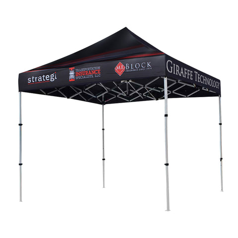 10 x 10 Canopy Steel Frame Exhibition Tents