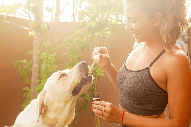 A woman giving her dog CBD oil