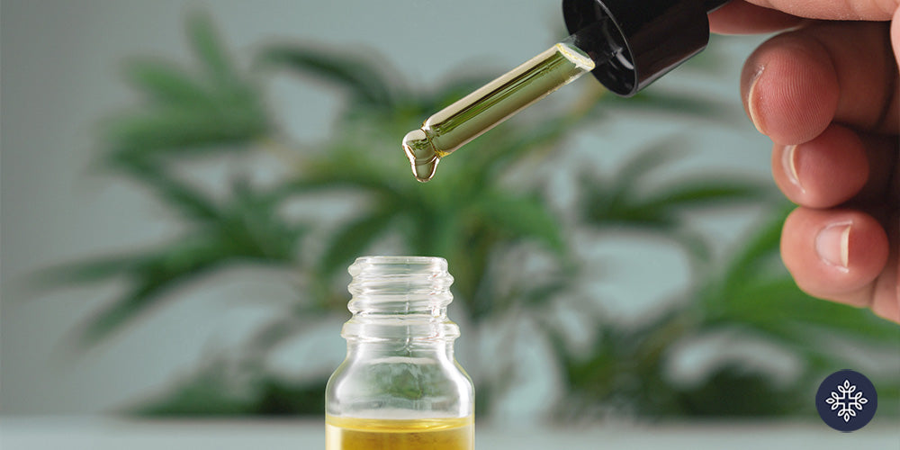 CBD Oil dropper held by a hand