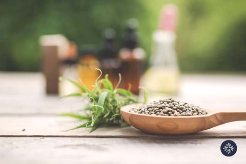 Photo of Brown Cannabis Seeds in a Wooden Spoon, Beside Green Cannabis Leaves and a Background of Tincture Bottles Depicting CBD Oil History of Uses