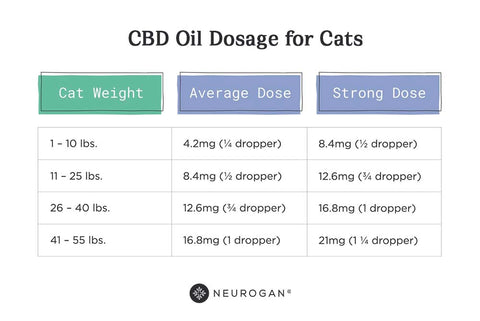 CBD Oil for Cats Administration Chart Based on Weight, Average Dose, and Strong Dose