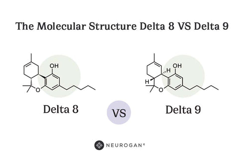 Delta-8 THC and Delta-9 THC chemical structure comparison diagram