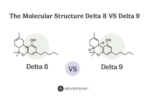 The Molecular Structure Delta 8 VS Delta 9