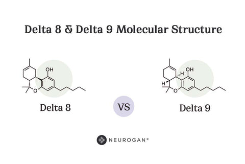 Delta 8 and Delta 9 Molecular structure