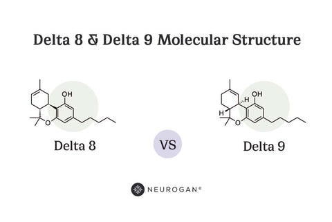 Delta 8 & Delta 9 Molecular Structure