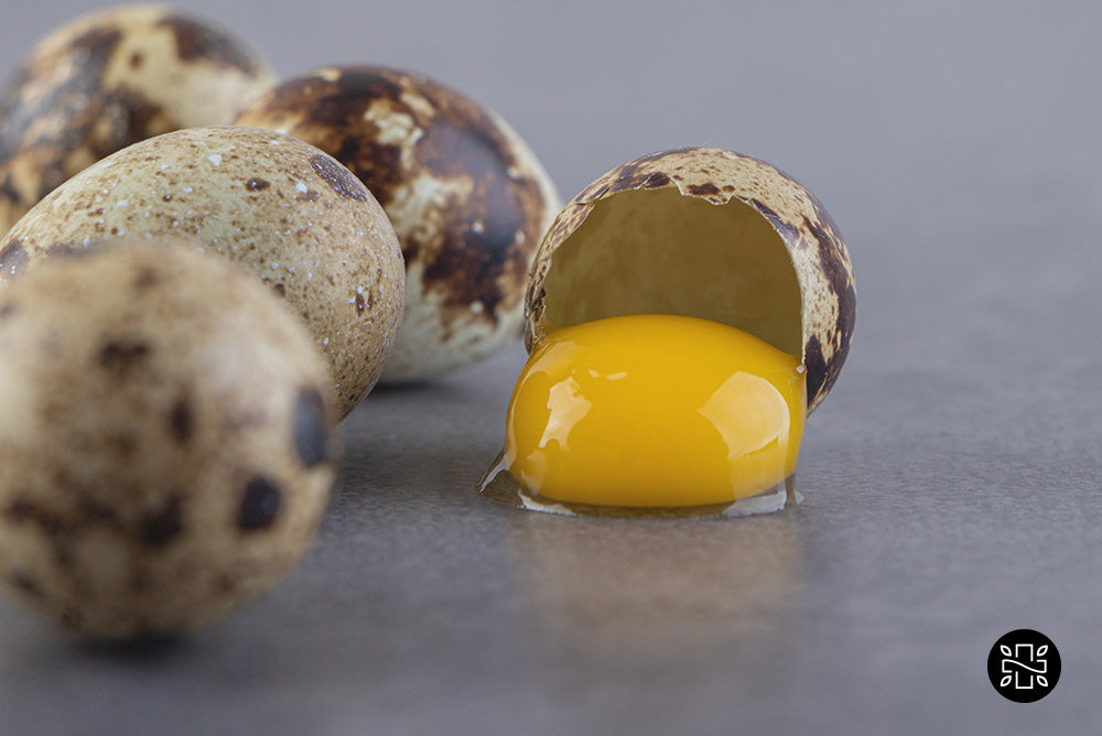 Egg yolk close up coming out from an egg