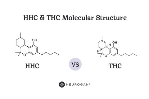 HHC vs THC