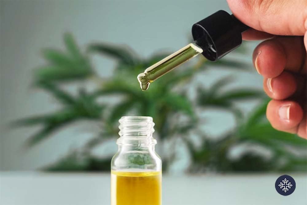 Hand holding a dropper of Hemp Oil with hemp leafs of the back