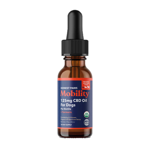 Bottle of Honest Paws CBD Oil for Dogs - Mobility