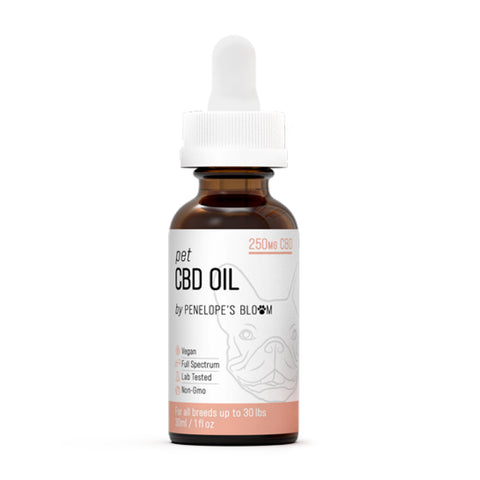 Bottle of Penelope's Bloom CBD Oil for Dogs