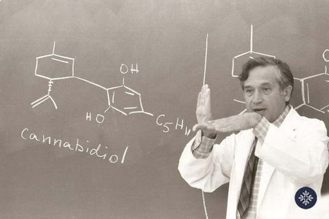 Black and white photo of Raphael Mechoulam, Father of Cannabis Research. Male scientist with cannabidiol (CBD) chemical structure on chalk board.