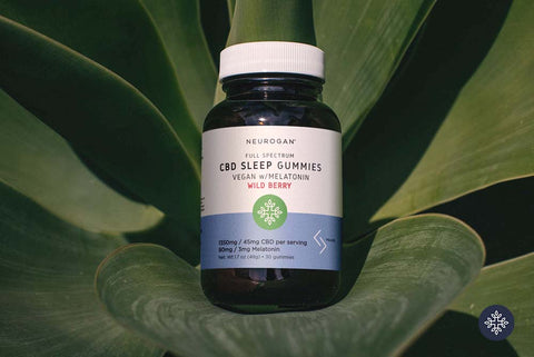 Sleep_Gummies_Melatonin_480x480.jpg?v=16