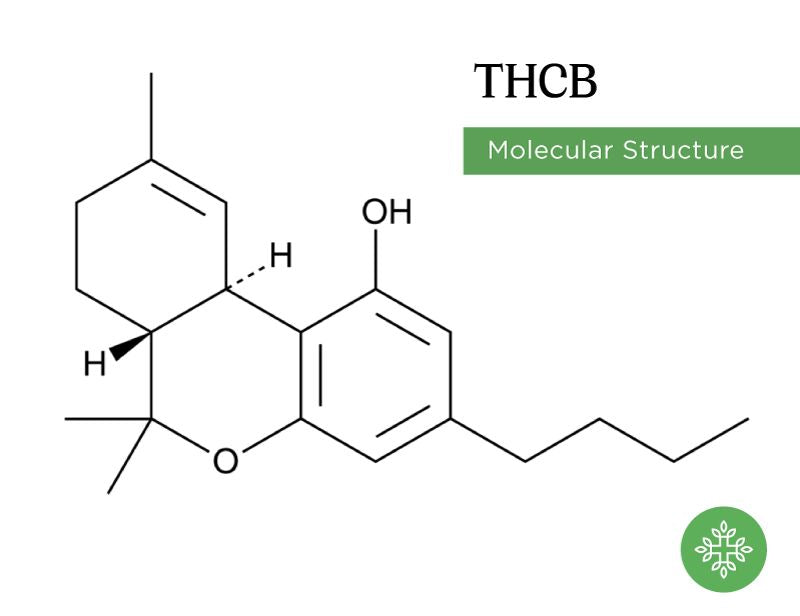THCB Molecule Structure