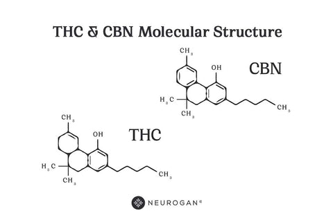 THC & CBN Molecular Structure