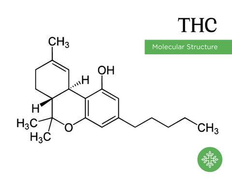 THC molecular structure